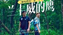 拯救迷路小公主